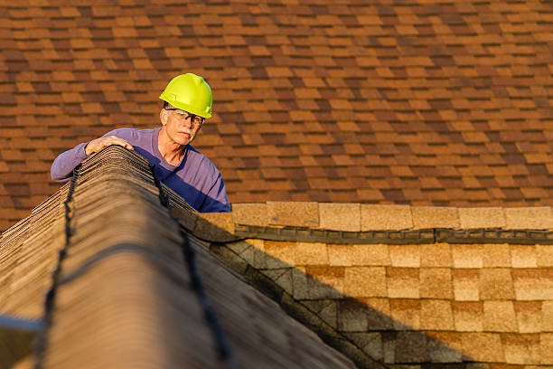Best Roof Gutter Cleaning  in Robinhood, MS