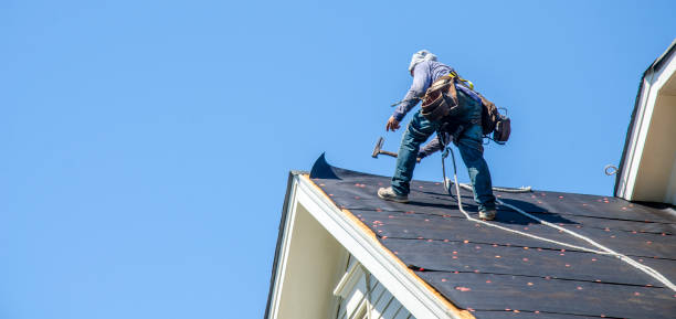 Best Best Roofing Contractors  in Robinhood, MS